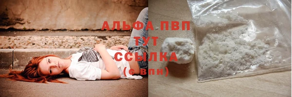 стаф Медвежьегорск