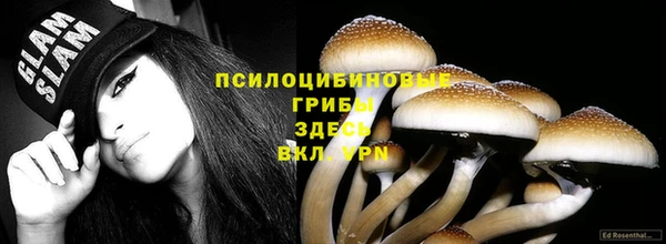 молекула духа Медногорск