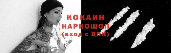 молекула духа Медногорск