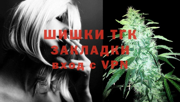 спиды Горняк