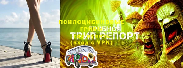 каннабис Майский