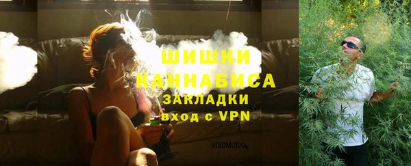 молекула духа Медногорск