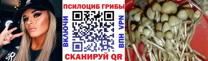 мега маркетплейс  Кандалакша  Галлюциногенные грибы Cubensis 